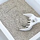 Bentonite Cat Litter