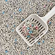 Clumping Cat Litter
